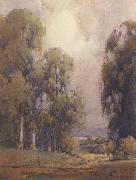 unknow artist, Eucalyptus Landscape